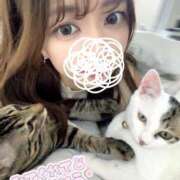 ヒメ日記 2025/08/20 11:27 投稿 恋々Coco ジュリエット