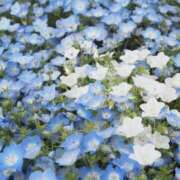 ヒメ日記 2025/05/11 19:45 投稿 望しゅう グランエステ東京 品川（シンデレラグループ）