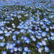 ヒメ日記 2025/06/06 13:51 投稿 望しゅう グランエステ東京 品川（シンデレラグループ）