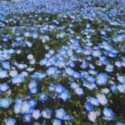 ヒメ日記 2025/07/04 14:47 投稿 望しゅう グランエステ東京 品川（シンデレラグループ）