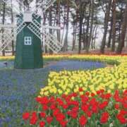 ヒメ日記 2025/07/06 18:02 投稿 望しゅう グランエステ東京 品川（シンデレラグループ）