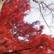 望しゅう お礼??I様 グランエステ東京 品川（シンデレラグループ）