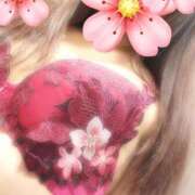 ヒメ日記 2025/05/29 15:35 投稿 ことの 素人妻御奉仕倶楽部Hip's松戸店