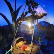 ヒメ日記 2025/07/04 07:46 投稿 ことの 素人妻御奉仕倶楽部Hip's松戸店