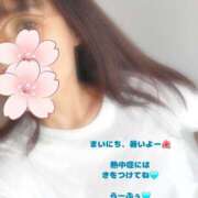 ヒメ日記 2025/07/22 07:26 投稿 ことの 素人妻御奉仕倶楽部Hip's松戸店