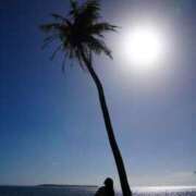 ヒメ日記 2025/07/30 10:16 投稿 ことの 素人妻御奉仕倶楽部Hip's松戸店