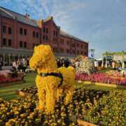 ヒメ日記 2025/08/23 18:27 投稿 ことの 素人妻御奉仕倶楽部Hip's松戸店