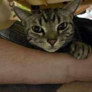 なお お久しぶりです🥲︎ 熟女の風俗最終章 新宿店