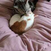 ヒメ日記 2025/04/19 09:03 投稿 なお 熟女の風俗最終章 池袋店