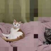 ヒメ日記 2025/04/22 11:42 投稿 なお 熟女の風俗最終章 池袋店