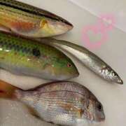 ヒメ日記 2025/06/22 21:52 投稿 ほしみ 香川サンキュー