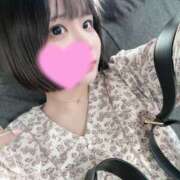 ヒメ日記 2025/07/02 14:55 投稿 ことり ぷるるんギャング