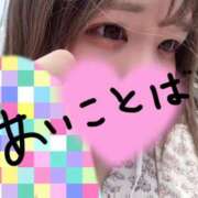 ヒメ日記 2025/07/02 16:15 投稿 ことり ぷるるんギャング