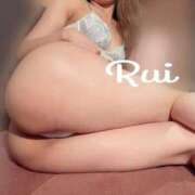 るい おうちついて寝てた😴 ジャパンクラブ富士