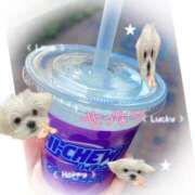 ヒメ日記 2025/08/02 13:57 投稿 せつな 池袋千姫