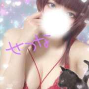 ヒメ日記 2025/08/08 00:47 投稿 せつな 池袋千姫