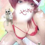 ヒメ日記 2025/08/29 21:34 投稿 せつな 池袋千姫