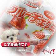 ヒメ日記 2025/08/30 20:57 投稿 せつな 池袋千姫
