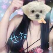 ヒメ日記 2025/09/07 09:51 投稿 せつな 池袋千姫