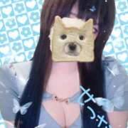 ヒメ日記 2025/09/14 09:37 投稿 せつな 池袋千姫