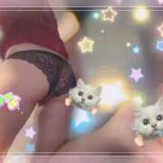 ヒメ日記 2025/09/23 09:47 投稿 せつな 池袋千姫