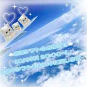 ヒメ日記 2025/10/08 15:27 投稿 せつな 池袋千姫