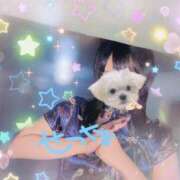 ヒメ日記 2025/10/20 09:57 投稿 せつな 池袋千姫