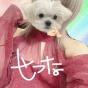 ヒメ日記 2026/01/02 09:43 投稿 せつな 池袋千姫