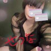 ヒメ日記 2026/03/07 11:27 投稿 せつな 池袋千姫