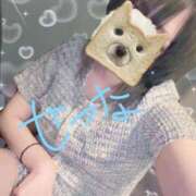 せつな 🩵残り2日🩵 池袋千姫