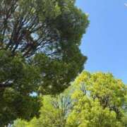 ヒメ日記 2026/04/18 08:29 投稿 うい 完全密室 無抵抗