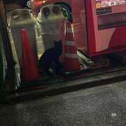 ヒメ日記 2025/05/12 23:54 投稿 ゆいな☆完全未経験 JKサークル