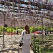 ヒメ日記 2026/04/19 15:56 投稿 めい 池袋しろパラ