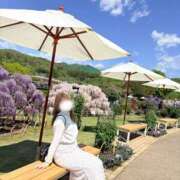 ヒメ日記 2026/04/19 21:50 投稿 めい 池袋しろパラ