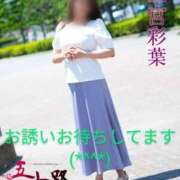 二宮彩葉 ◇見ていられる♪◇【半分雑談】 五十路マダム 沼津店(カサブランカグループ)