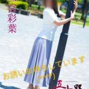 ヒメ日記 2026/04/17 12:25 投稿 二宮彩葉 五十路マダム 沼津店(カサブランカグループ)