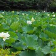 ヒメ日記 2025/08/01 09:40 投稿 さちえ マダム錦糸町