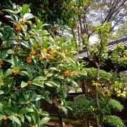 ヒメ日記 2025/10/03 15:50 投稿 さちえ マダム錦糸町