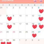 マイミ 9月の予定?? PLATINUM