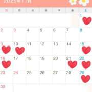 マイミ 11月の予定?? PLATINUM