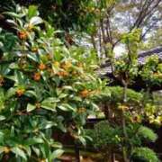 ヒメ日記 2025/10/03 15:30 投稿 さちえ マダム西船橋