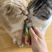 ヒメ日記 2025/04/19 08:29 投稿 あやか しゅうかつ倶楽部