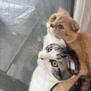 ヒメ日記 2025/05/06 12:32 投稿 あやか しゅうかつ倶楽部