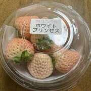 ヒメ日記 2025/05/10 08:38 投稿 あやか しゅうかつ倶楽部