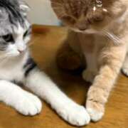 ヒメ日記 2025/05/22 08:58 投稿 あやか しゅうかつ倶楽部