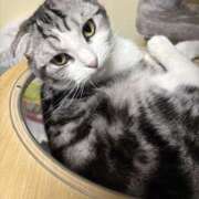 ヒメ日記 2025/05/22 15:49 投稿 あやか しゅうかつ倶楽部