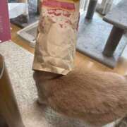 ヒメ日記 2025/05/25 08:44 投稿 あやか しゅうかつ倶楽部