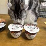 ヒメ日記 2025/05/29 17:56 投稿 あやか しゅうかつ倶楽部