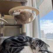 ヒメ日記 2025/06/02 08:57 投稿 あやか しゅうかつ倶楽部