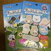 ヒメ日記 2025/09/13 11:53 投稿 あやか しゅうかつ倶楽部